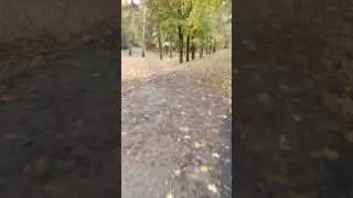 Jesień w parku w Kaliszu
