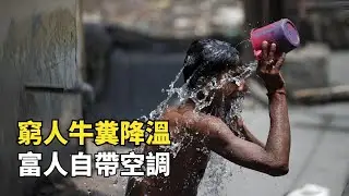 印度奪命高溫，52.9度破歴史紀錄，窮人開始用牛糞降溫