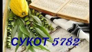 СУКОТ 5782.