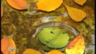 Коллекция заставок от НТВ - Дизайн (NTV - Design Collection) 15