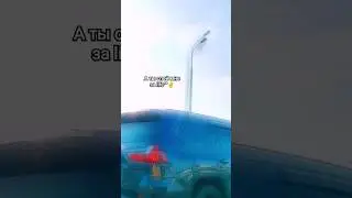 Тото – Баяноммай✌ 