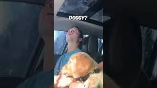 It was this dog's first time for both these things 🫠