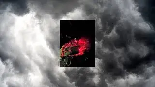 COLLAPSE (fl track)