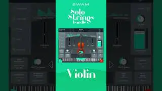Creating computer music? If you haven't heard of SWAM yet, you're missing out! 
