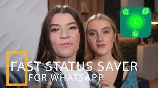 Fast Status Saver