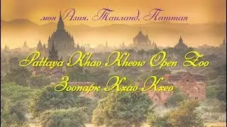 Khao Kheow Open Zoo ( Зоопарк Кхао Кхео)