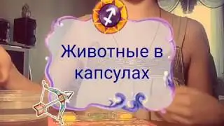 Животные в капсуле 😑 | лизун 😕 |