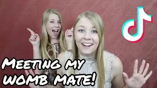 WOMB MATE ROOM MATE SERIES