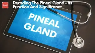 Decoding The Pineal Gland - Its Function And Significance #pinealgland #youtube #trell