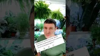 5 мая 2024 г.