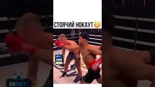 Жёсткий нокаут 