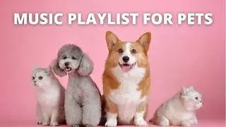 Happy Music Playlist For Pets