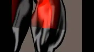 female muscle growth 9 HD