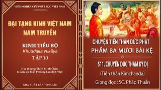 ĐẠI TẠNG KINH - PHẨM BA MƯƠI BÀI KỆ - CHUYỆN DỤC THAM KỲ DỊ (Tiền thân Kiṃchanda)