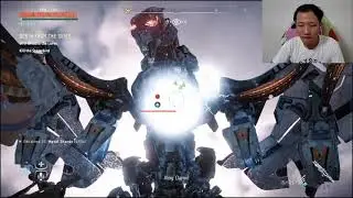 How to kill Stormbird swiftly without being tilted : Horizon Zero Dawn