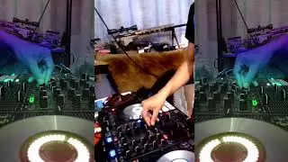 Le Bask 300 / XXTRAKT - Higher (Massappeals HAF Remix) Mashup