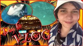 Dominican Republic VLOG: Day 6 / Рифы / Акулы / Казино и как я ПРОИГРАЛА МИЛЛИОН