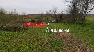 Осенняя утка. Вышел прямо на уток.