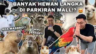 GREBEK PAMERAN HEWAN TERBESAR DI INDONESIA!? LUASNYA SEPARKIRAN MOBIL! KEBUN BINATANG MINI