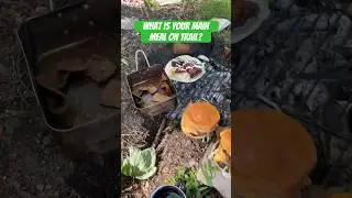 WHAT IS YOUR MAIN MEAL ON TRAIL?