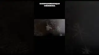 Завораживающая снежинка😍