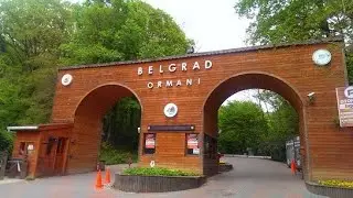 Güngören Belediyesi Belgrad Ormanının Piknik Alanı Tanıtımı