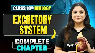 EXCRETORY SYSTEM Complete Chapter | ICSE Class 10 Biology