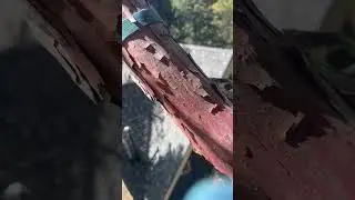 Co-Dominant cedar removal #mountains #tree #arborist #treeclimber #chainsaw #california #socal