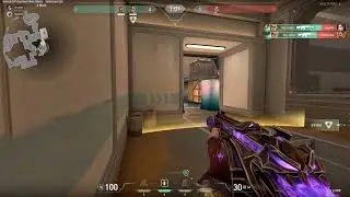 crazy spray