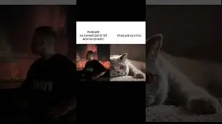 Счастье не в деньгах )