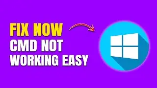How to Fix Command Prompt (CMD) Not Working or Opening on Windows 10 & 11