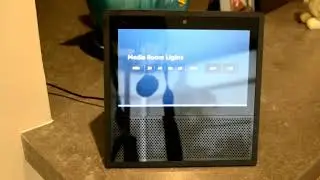 Alexa Home Theater Control | The Woodlands, TX (Before Movie/After Movie)