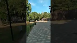 Дорога к туалету WC