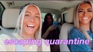 escaping quarantine... vaca edition