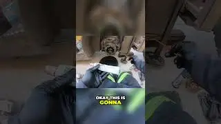 Prevent Gear Oil Leaks with this Genuine Japanese Nissan Gasket Maker ‼️🔥🚨
