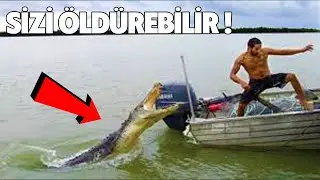 10 Scary Ways to Get KILLED by an Animal