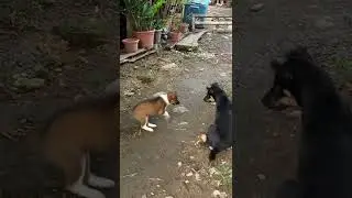 just yesterday they've met .. now they're best friends...😁😁