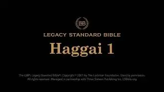 Haggai 1 - Legacy Standard Bible (LSB) - Audio