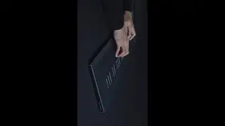 🪗 or 🎹?