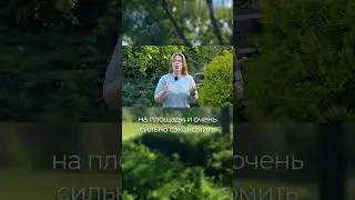 Как экономить на строительстве правильно ! 