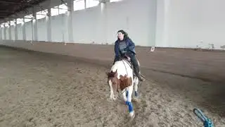 Arena work 5/10/19