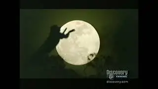 Walking With Beasts New Dawn (American Version) Part 4