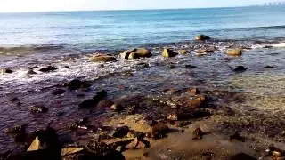 Родник на острове Рейнеке