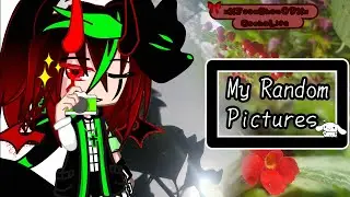 || Pictures I took || Pls rate my pictures (Not forcing) (JeanShan09) Ft:Jeanelly AKA me