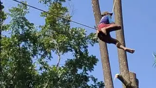 bapak Spiderman#penebangan pohon pule angker, yang lain gak berani tebang..
