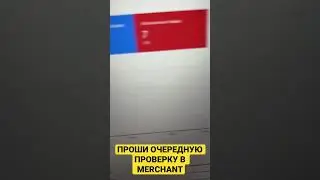 Молниеносная модерация в Google Merchant, наработали схему 