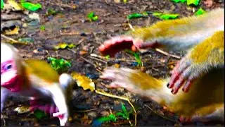 O.M.G |Mom LUNO Was K!cking LUNO Out From Milk B.ar That Baby LUNO Was S+haking B0dy C_rying L0udly