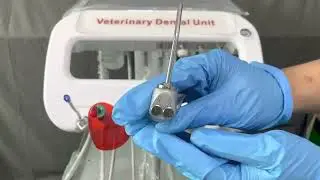 FC6 Veterinary Dental Cleaning Unit Introduction Video