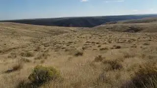 Hunting the high desert can be really challenging #shorts
