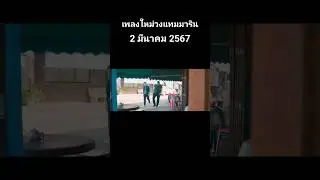เพลงใหม่วงแทมมะริน X บ่าววี รับชมพร้อมกันวันที่ 2 มีนาคม 2567 #เพลงใหม่ #วงแทมมะริน